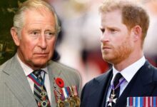 Prince Harry Breaks Silence After Secret Peace Summit With King Charles Gets Leaked
