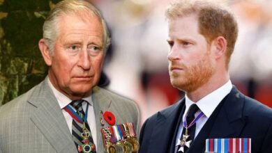 Prince Harry Breaks Silence After Secret Peace Summit With King Charles Gets Leaked