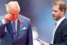 Prince Harry Slammed for Lashing Out at Loved Ones as Peace Talks Begin Without Prince William