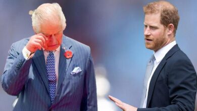 Prince Harry Slammed for Lashing Out at Loved Ones as Peace Talks Begin Without Prince William