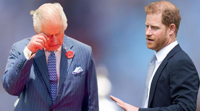 Prince Harry Slammed for Lashing Out at Loved Ones as Peace Talks Begin Without Prince William