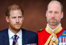 Royal Expert Says Prince Harry's Reconciliation With William May Be Impossible After Spare Bombshells