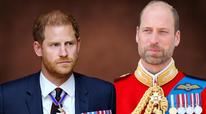Royal Expert Says Prince Harry's Reconciliation With William May Be Impossible After Spare Bombshells