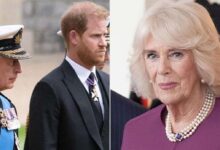 Queen Camilla Breaks Silence After Secret Peace Talks Between Prince Harry and King Charles