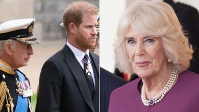 Queen Camilla Breaks Silence After Secret Peace Talks Between Prince Harry and King Charles