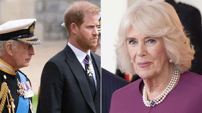 Queen Camilla Breaks Silence After Secret Peace Talks Between Prince Harry and King Charles