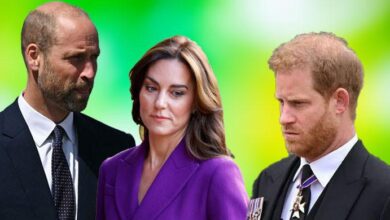 Kate Middleton and Prince William Snub Prince Harry’s Peace Talks as Real Reason Finally Exposed