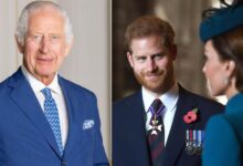 Kate Middleton Holds Secret Meeting With King Charles Amid Reports of Peace Summit With Prince Harry