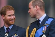 Prince Harry Gains Major Public Support in Peace Talks But Prince William Could Be the Problem