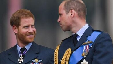 Prince Harry Gains Major Public Support in Peace Talks But Prince William Could Be the Problem