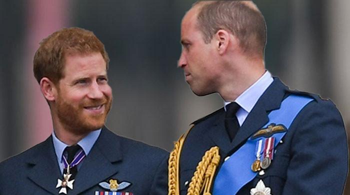 Prince Harry Gains Major Public Support in Peace Talks But Prince William Could Be the Problem
