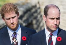Unforgiving Prince William May Block Prince Harry’s Return As Expert Warns It’s Now or Never for Reconciliation