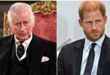 Was Prince Harry’s Peace Summit With King Charles Just a Royal Trap As Expert Makes Shocking Claim