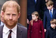 Kate Middleton and Prince William Takeing Steps to Shield Their Kids from Toxic Prince Harry and Meghan Markle