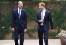 Prince Harry Ready to Break from Meghan Markle to Win Back King Charles and Prince William