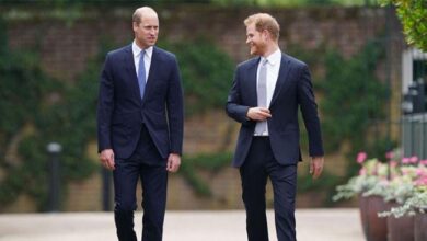 Prince Harry Ready to Break from Meghan Markle to Win Back King Charles and Prince William