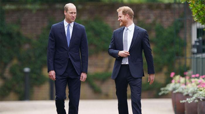 Prince Harry Ready to Break from Meghan Markle to Win Back King Charles and Prince William