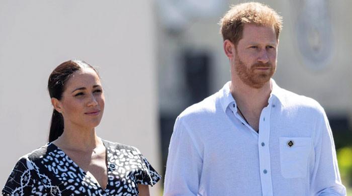 Prince Harry's Real Motive Behind King Charles Peace Talks Leaves Royals Stunned