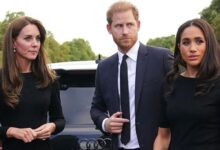 Kate Middleton Shocked to Find Herself Agreeing with Meghan Markle and Prince Harry Over Shocking Issue