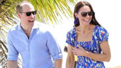 Kate Middleton’s Unexpected Absence Raises Eyebrows as Prince William Flies Solo to Euro 2025 Final