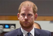 Prince Harry’s Emotional Tribute to Princess Diana Backfires as Public Turns Cold