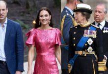 Prince William and Kate Middleton’s Sudden Move Sparks Tension with Princess Anne