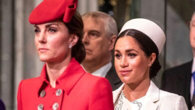 Prince William Secretly Shielded Kate Middleton From Meghan Markle in Public Tense Moment Caught on Camera