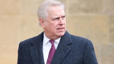 Prince Andrew Faces Mounting Pressure as Public Demands Titles Be Stripped