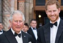 Prince Harry and King Charles Unite Against Former Palace Insider in Shocking Royal Twist