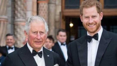 Prince Harry and King Charles Unite Against Former Palace Insider in Shocking Royal Twist