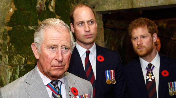King Charles May Be the Only One Who Can End the Feud Between Prince Harry and Prince William