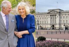Royal Exit Shocks Palace Fans as Beloved Family Member Officially Retires After Years of Service