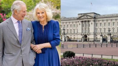 Royal Exit Shocks Palace Fans as Beloved Family Member Officially Retires After Years of Service