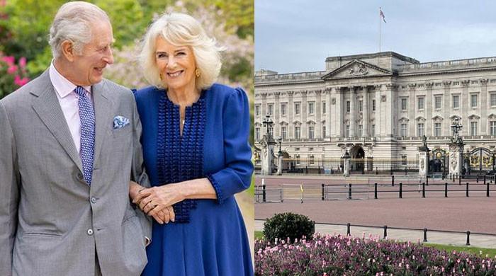 Royal Exit Shocks Palace Fans as Beloved Family Member Officially Retires After Years of Service