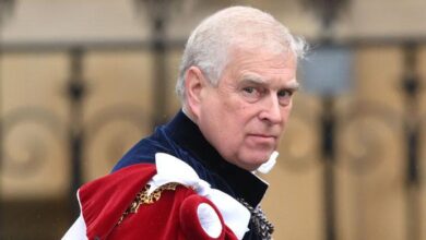 New Book Set to Explode Prince Andrew's Reputation with Shocking Meghan Markle Allegations and Secret Royal Feud