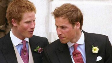 Prince William Shuts the Door on Prince Harry as Pain Over Kate Middleton Runs Deep
