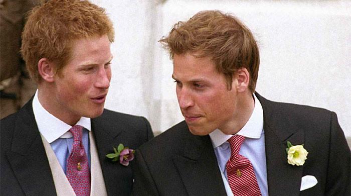 Prince William Shuts the Door on Prince Harry as Pain Over Kate Middleton Runs Deep