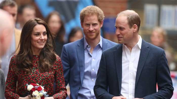Prince William And Prince Harry’s Rarely Seen Photo With Kate Middleton Resurfaces And Fans Are Heartbroken