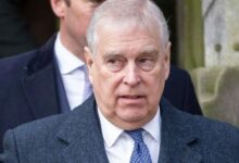Prince Andrew’s Shocking Remarks About Kate Middleton Reveal Jealous Rift in Royal Family