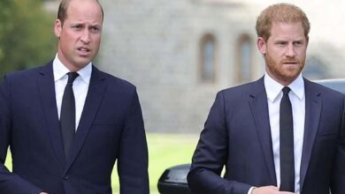 Prince Harry’s Emotional Plea for William’s Support on Princess Diana Anniversary Faces Meghan Markle Roadblock