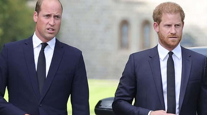Prince Harry’s Emotional Plea for William’s Support on Princess Diana Anniversary Faces Meghan Markle Roadblock
