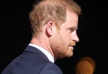 Prince Harry Left Isolated As Meghan Markle Stays Silent On Explosive Charity Fallout