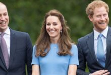 Prince Harry’s Secret Bond with Kate Middleton Resurfaces Amid Royal Rift