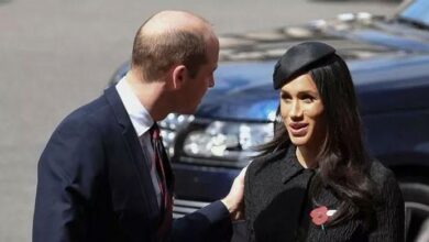 Royal Fans Explode Over Prince William’s True Feelings About Meghan Markle and His Rift With Prince Harry