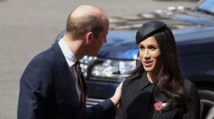 Royal Fans Explode Over Prince William’s True Feelings About Meghan Markle and His Rift With Prince Harry