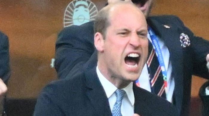 Prince William’s Bold Plan to Shrink the Monarchy Could Backfire as Experts Issue Stark Warning