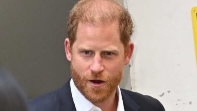 Monarchy Faces Collapse Without Prince Harry’s Return as Experts Deliver Chilling Warning