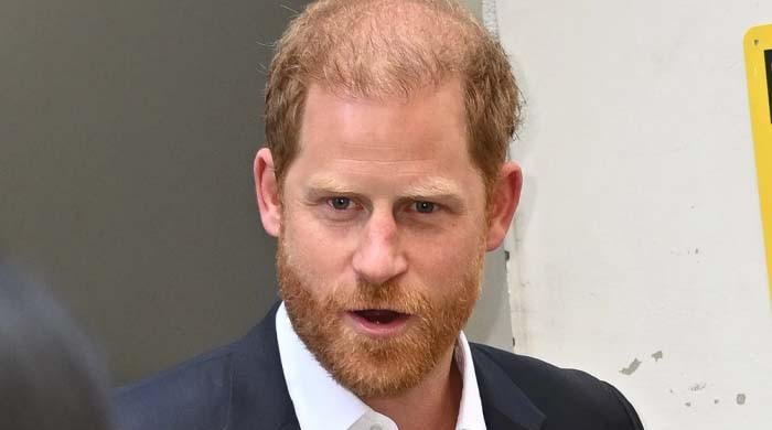 Monarchy Faces Collapse Without Prince Harry’s Return as Experts Deliver Chilling Warning