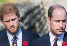Expert Exposes the Secret Bond That Once Made Prince William and Prince Harry Unstoppable