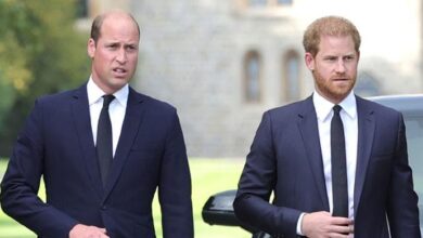 Prince William Shuts Down Reconciliation as Prince Harry Pushes for Private Talks with King Charles